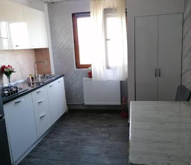 Fagaras Apartamento | La Zonia