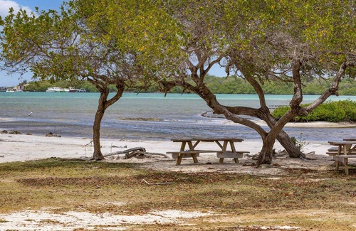 Kralendijk Casa | Lac Bay Casita 5 Summ