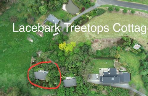 Havelock North Villa | Lacebark Treetops Cottage: 2 bed/2en-suite option