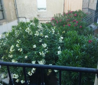 Quartier Administrations Apartamento | LaCour