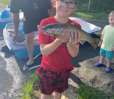 Stewartstown Otro | Ladd Pond Cabins and Campground, LLC