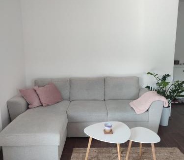 Banja Koviljaca Apartamento | LadyDi apartman