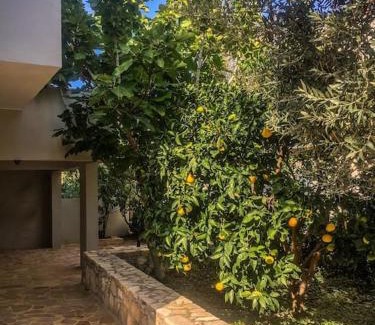 Lagkada Casa | Lagada-Chios
