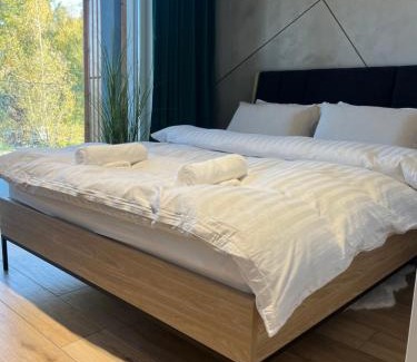 gmina odygowice Apartamento | Laguna Beskidów Apartament A5