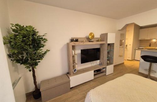 Vernon Apartamento | Laguna