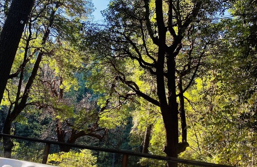 Georgetown Cabina | Lagunita- cabaña junto al lago con 2 literas y bañera de hidromasaje. $ 225 .. Por noche para los 3 !!