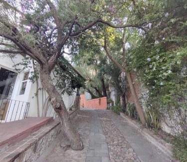 Colonia San Antonio Casa | Laica House