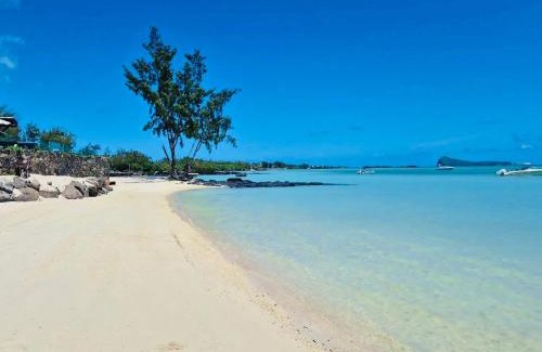 Calodyne Villa | Lakaz Kalo - house with garden and service