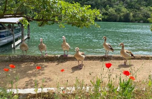 Lower Basin Lake Travis Complejo | Lake Austin Spa Resort - All Inclusive