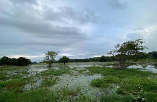 Dambulla Casa | lake Edge Dambulla