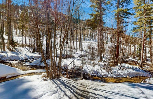Taos Ski Valley Apartamento | Lake Fork 7