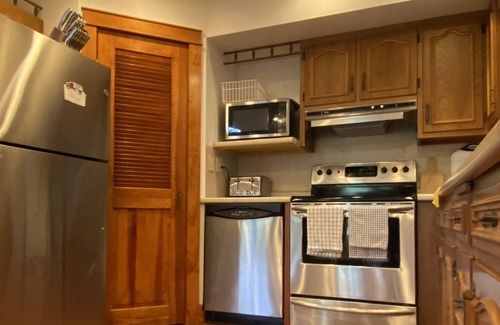 Greentown Casa | Lake Front Big Wally Lake (Wallenpaupack) Motor Boat, Cozy Stay for All Seasons