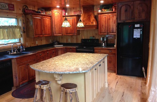 Elmira Casa | Lake front Custom Log home .Kayaks Loons Bald eagles fox & turkeys included.
