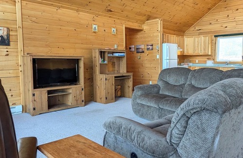 Northern Ontario Cabina | Lake front timber cottage amongst towering pines. Family and pet friendly