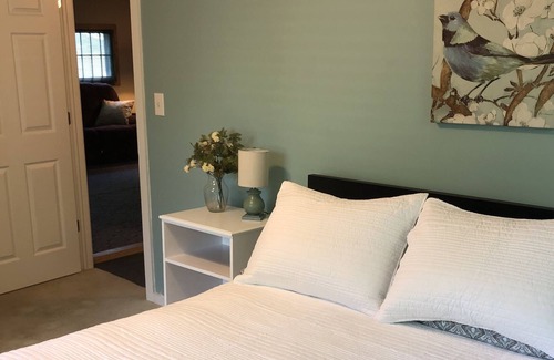 Lake Cabaña | Lake George/Shingle Lake ~ WIFI ~ Pet Friendly ~ Cable - Walk to Lake