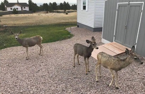 Pine Haven Casa | Lake & Mountain View Guesthouse