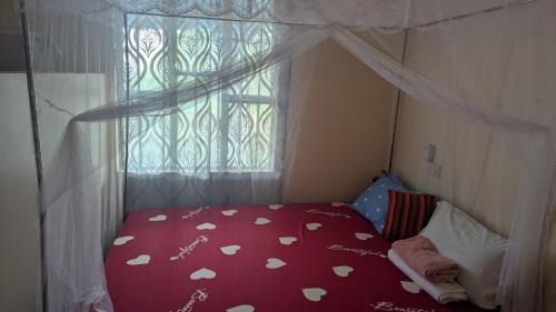 Lake Natron Cama Y Desayuno | Lake natron Naibala Bed&Breakfast