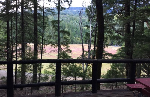 Potter Valley Cabina | Lake Pillsbury/Hull Mt.CabinStudio w/Kitchenette