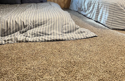 Somerville Cabina | Lake Somerville Cabin~ Pet Friendly~ Minutes from Lake!