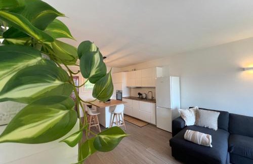 Predore Apartamento | Lake View Studio
