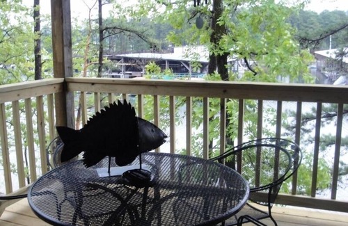 Mount Ida Cabaña | Lake view two bedroom, two bath log-sided cottage with private hot tub overlooking Lake Ouachita. by RedAwning