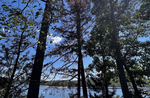 Mount Ida Cabaña | Lake view two bedroom, two bath loft, log-sided cottage with private hot tub overlooking Lake Ouachita. by RedAwning