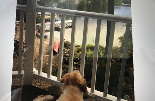 Meredith Casa | Lake Winnisquam lake front beach