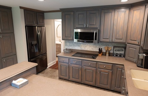 New Tazewell Casa | Lakefront Cedar Cove Cottage on Norris Lake