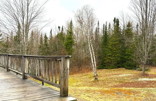 Indian Lake Cabina | Lakefront-Family & Pet Friendly-Adirondack Cabin