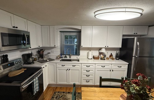 Coldwater Cabaña | Lakefront Hidden Gem on Rose Lake! Cozy Cottage & Camper Spot with Private Docks