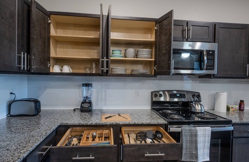 Lewisville Apartamento | Lakefront Luxury King 1BR