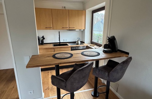 Ponitz am See Apartamento | Lakefront Studio