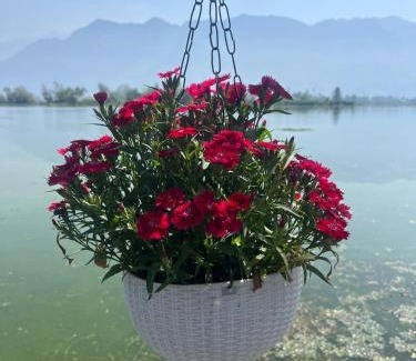 Dal Lake Casa | Lakes and peaks