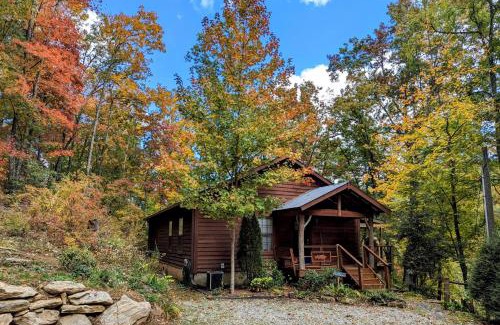 Cullowhee Casa | Lakeside Cashiers Cabin with Private Boat Dock!