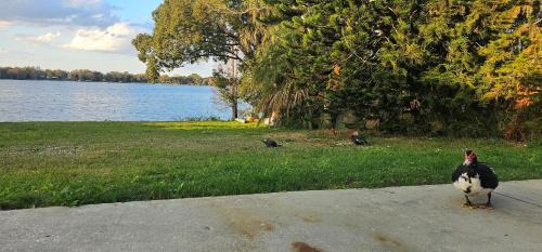 Winter Haven Villa | Lakeside Lofts at Lake Martha