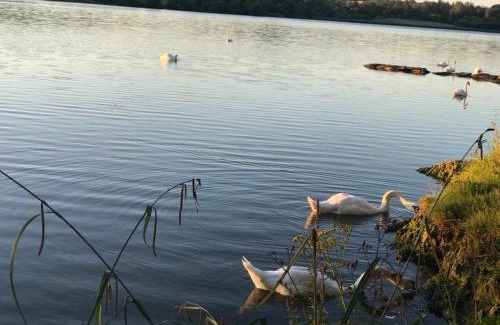 Bantry Apartamento | Lakeside Lookout Bantry