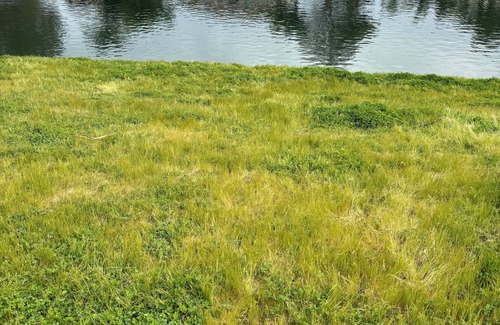 Chowchilla Casa | Lakeside Oasis \ Private 1 Bedroom 1 Bath near Yosemite