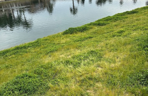 Chowchilla Casa | Lakeside Oasis \ Private 1 Bedroom 1 Bath near Yosemite