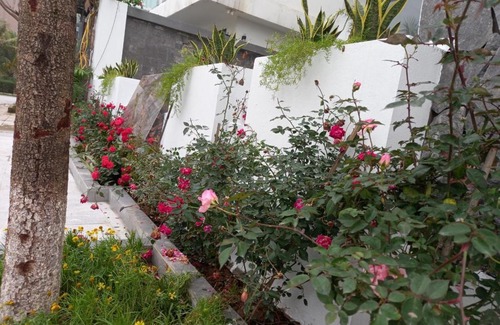 Sam Son Apartamento | Lakeside Villa FLC Sầm Sơn
