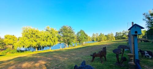 Beckingham Otro | Lakeview Petting Pod
