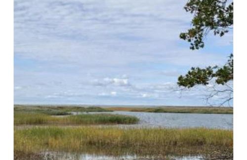 Au Gres Casa | Lakeview & Wildlife