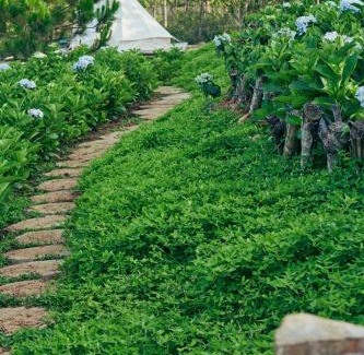 Krong Buk Otro | LakHill Farmstay