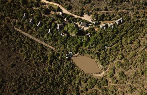 Grahamstown Cabina | Lalibela Game Reserve Mark's Camp