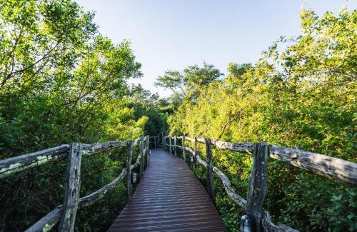 Grahamstown Cabina | Lalibela Game Reserve Mark's Camp