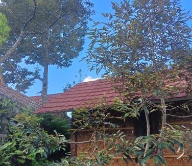 Tetebatu Cabina | Lalinggo Bungalow
