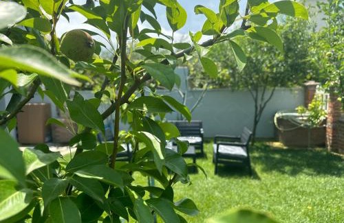 Qerek Apartamento | Lalzi Rental apartments