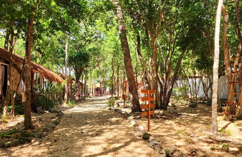 Chetumal Complejo | Casa Lam Jungle Delux