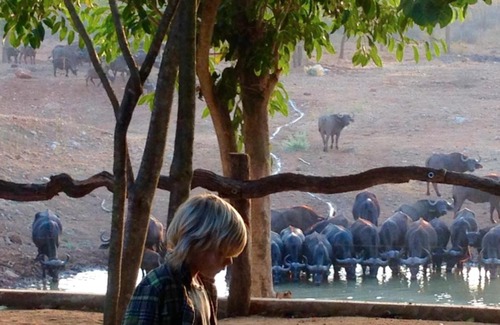 Maruleng Cabina | Lamai Safari Lodge