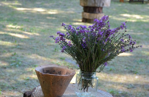 Pissos Casa | Landes farm between forest and ocean