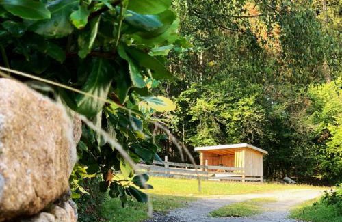 Zandt Casa | Landgasthof Blasini - Pfahlhof